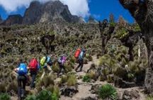 Full Day Tour to Mount Kenya