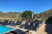 Cape Town Full Day Big 5 Game Reserve Safari with Lunch