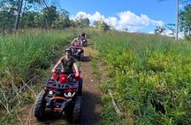 2D1N: ATV Ride, Elephant Sanctuary, Overnight in Stylish Dome