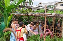 Cooking class in organic garden and local market tour ThaiCottage
