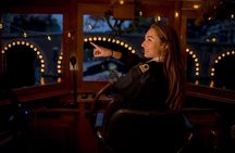 Amsterdam Light Festival: All-In Canal Cruise Covered Saloon Boat