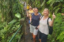 Emerald Pool Trafalgar Falls Mega Fun Tour