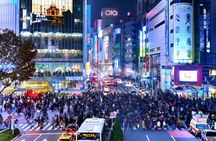 Tokyo: Exclusive City Highlights tour with Eng speaking Driver