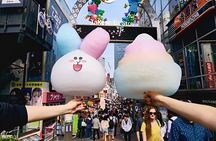 Tokyo: Exclusive City Highlights tour with Eng speaking Driver