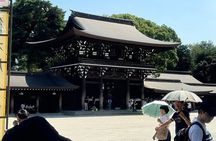 Tokyo: Exclusive City Highlights tour with Eng speaking Driver
