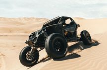 Professional Buggy Self Drive with Desert Safari and Camel Ride