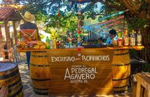 Factory José Cuervo | Tequilera Adventure with Cantaritos el Güero.