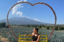 Full-Day Tour in Tequila factory and Cantaritos el Güero