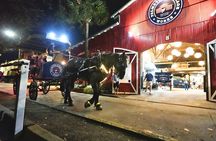 Private Evening Carriage Tour Charleston - Palmetto Carriage
