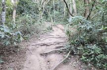 Discover the Pedra do Telégrafo Trail in Rio de Janeiro