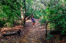 Pedra do Telegrafo The Must Do Adventure in Rio
