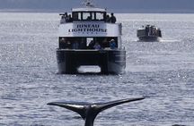 Juneau Lighthouse Tours - Whale watching & Lighthouse Combo