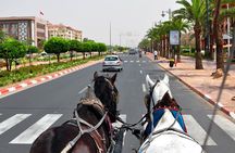  11 Day Private Tour to Imperial City and Desert from Marrakech