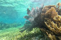 2 Island Adventure: Contoy & Mujeres with Snorkeling & open bar 