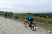 Chianti E-Bike Tour from Siena