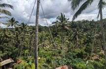 Explore Ubud Art Market, Monkey Forest and Rice Terraces