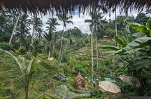 Explore Ubud Art Market, Monkey Forest and Rice Terraces