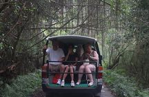 From Hanoi: Cat Ba Island- Lan Ha Bay Day Trip on Luxury Cruise