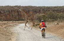 Day Trip to Hell's Gate Park and Horse Riding at Sanctuary Farm