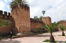 Taroudant and Tiout Oasis Guided Day Trip with Lunch
