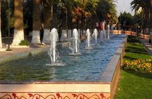 Taroudant and Tiout Oasis Guided Day Trip with Lunch