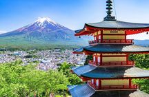 Mt Fuji Exploration Tour with Free Japanese Kusa Mochi from Tokyo