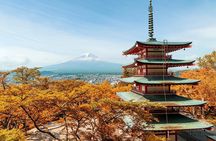 Mt Fuji Exploration Tour with Free Japanese Kusa Mochi from Tokyo