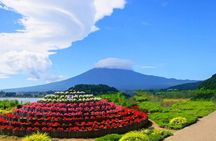 Mt Fuji Exploration Tour with Free Japanese Kusa Mochi from Tokyo