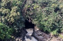 Private Hilo Shore Excursion Volcano National Park up to 14