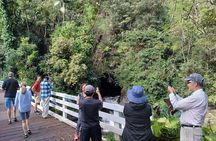 Private Hilo Shore Excursion Volcano National Park up to 14