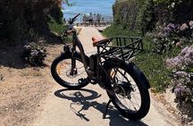La Jolla's Best Coastal Electric Bike Tour 