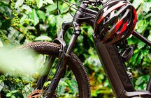 Private E-Bike Coffee Tour in Boquete