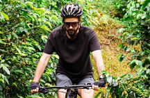 Private E-Bike Coffee Tour in Boquete