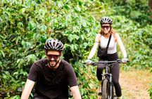 Private E-Bike Coffee Tour in Boquete