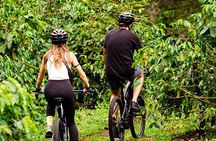 Private E-Bike Coffee Tour in Boquete