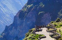 Colca Canyon 2-Day Tour with Lodge Stay and Transfer to Puno