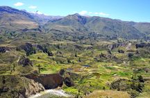 Colca Canyon 2-Day Tour with Lodge Stay and Transfer to Puno