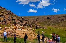 Colca Canyon 2-Day Tour with Lodge Stay and Transfer to Puno
