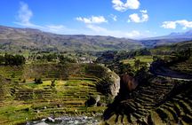 Colca Canyon 2-Day Tour with Lodge Stay and Transfer to Puno