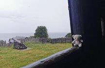Guided Tour of Punta Arenas and Fort Bulnes