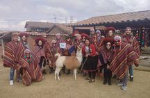 Sacred Valley with Moray and Salt Mines + Buffet Lunch