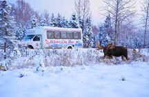 Anchorage's Winter City Tour = Samples + Stops + WildLife