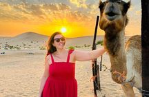 Sunrise Safari in Abu Dhabi's Desert