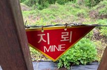 DMZ Tour and Leeum Museum