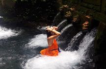 Best of Ubud Tour Combination Holy Water Cleansing