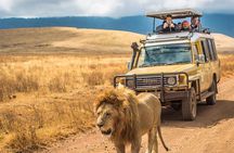 Hluhluwe Imfolozi Big 5 Game Reserve Tour from Durban