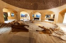 Fayoum Oasis Adventure: Nature, History, and Excitement