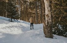 Aurora Hunting with Snowshoes