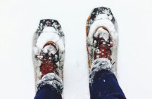 Aurora Hunting with Snowshoes