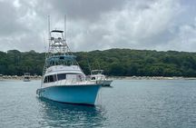 Private boat tour from Taino Bay and Amber Cove Passengers